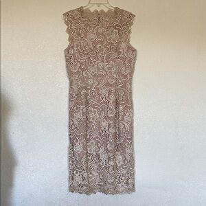 Dress the Population Rose Lace Midi Dress